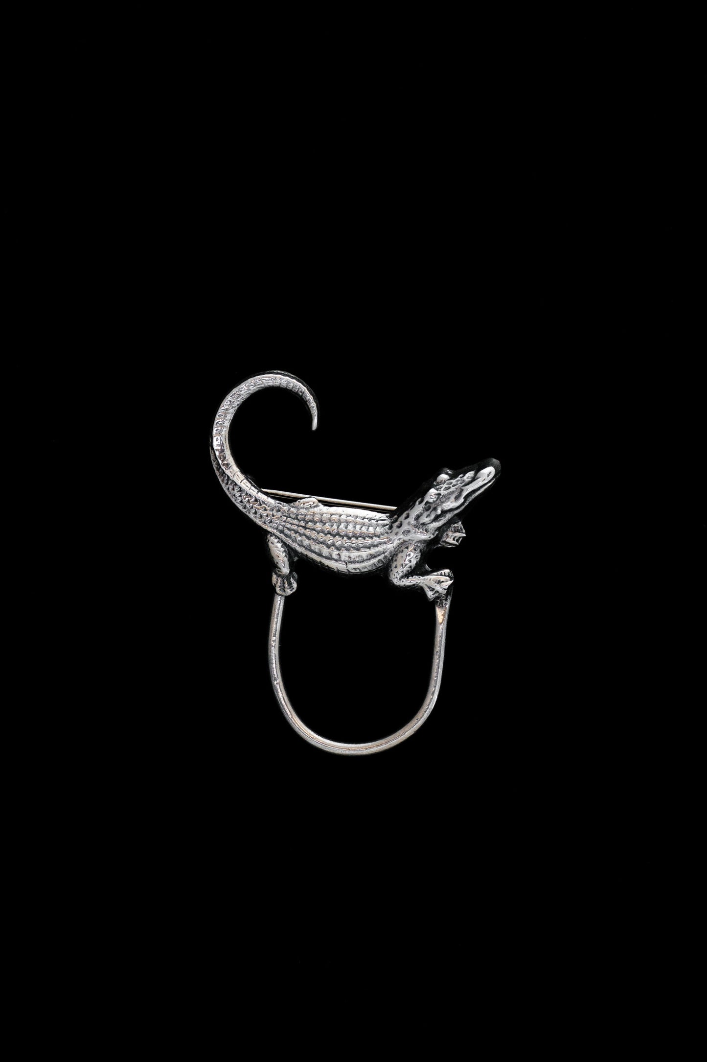 Crocodile Brooch (Mexico)