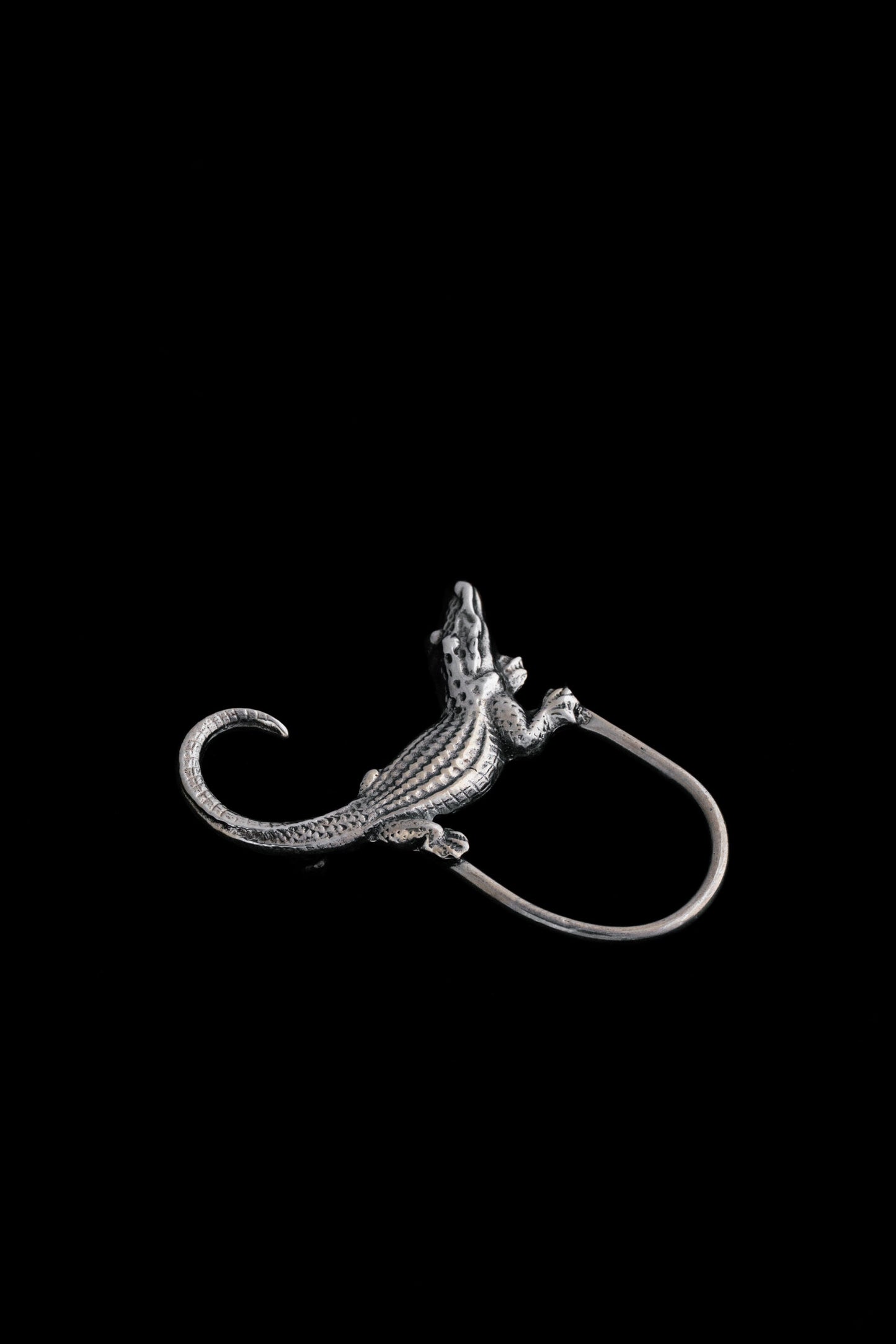 Crocodile Brooch (Mexico)