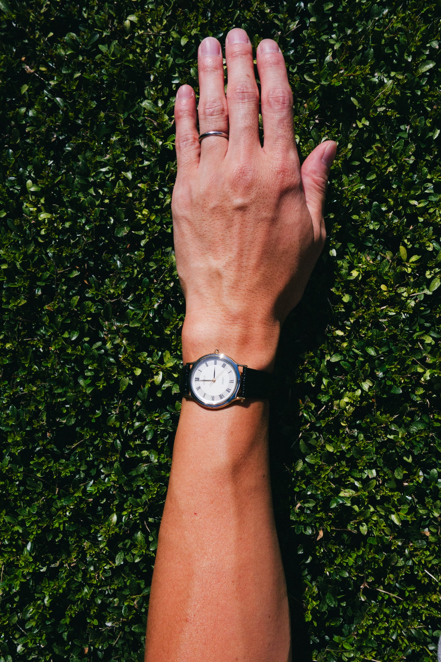 SEIKO｜Dolce 5E31-6D60