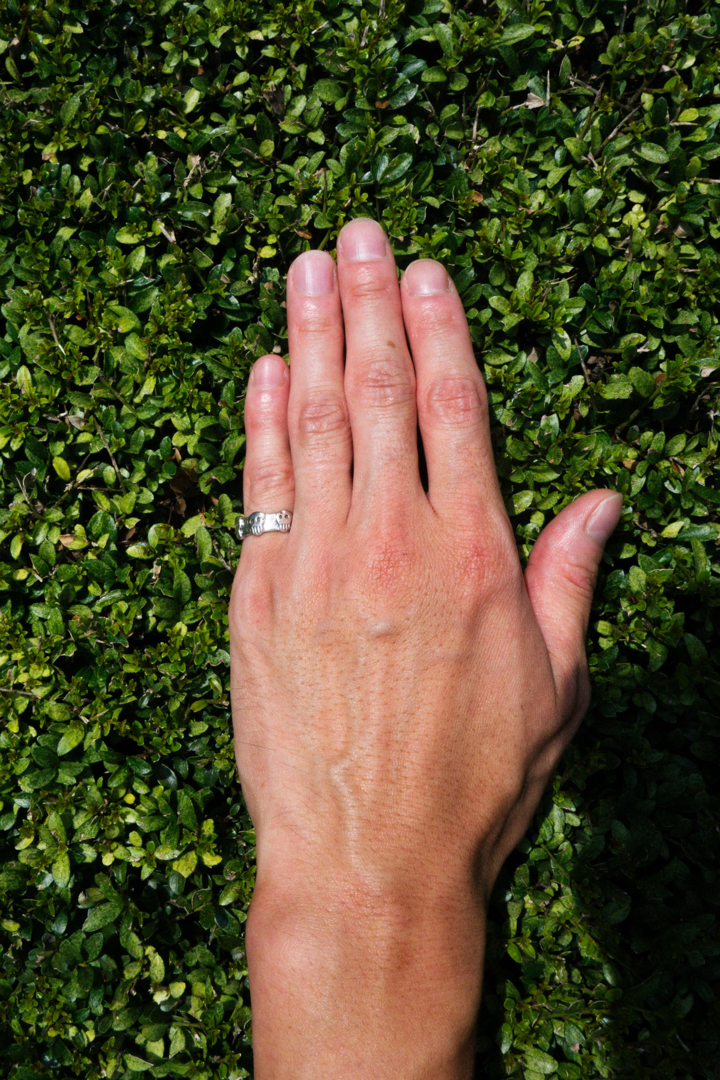 Skull Motif Band Ring