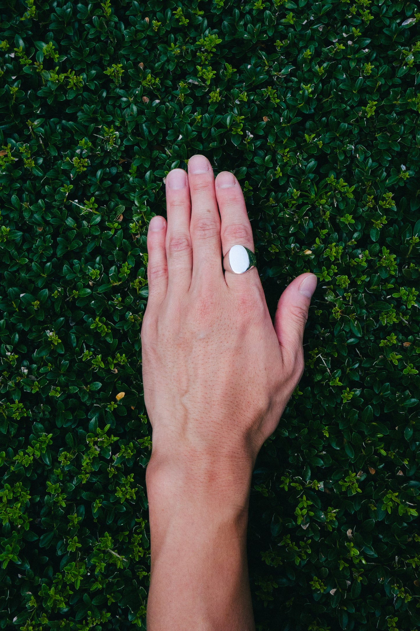 Oval Signet Ring (Mexico)