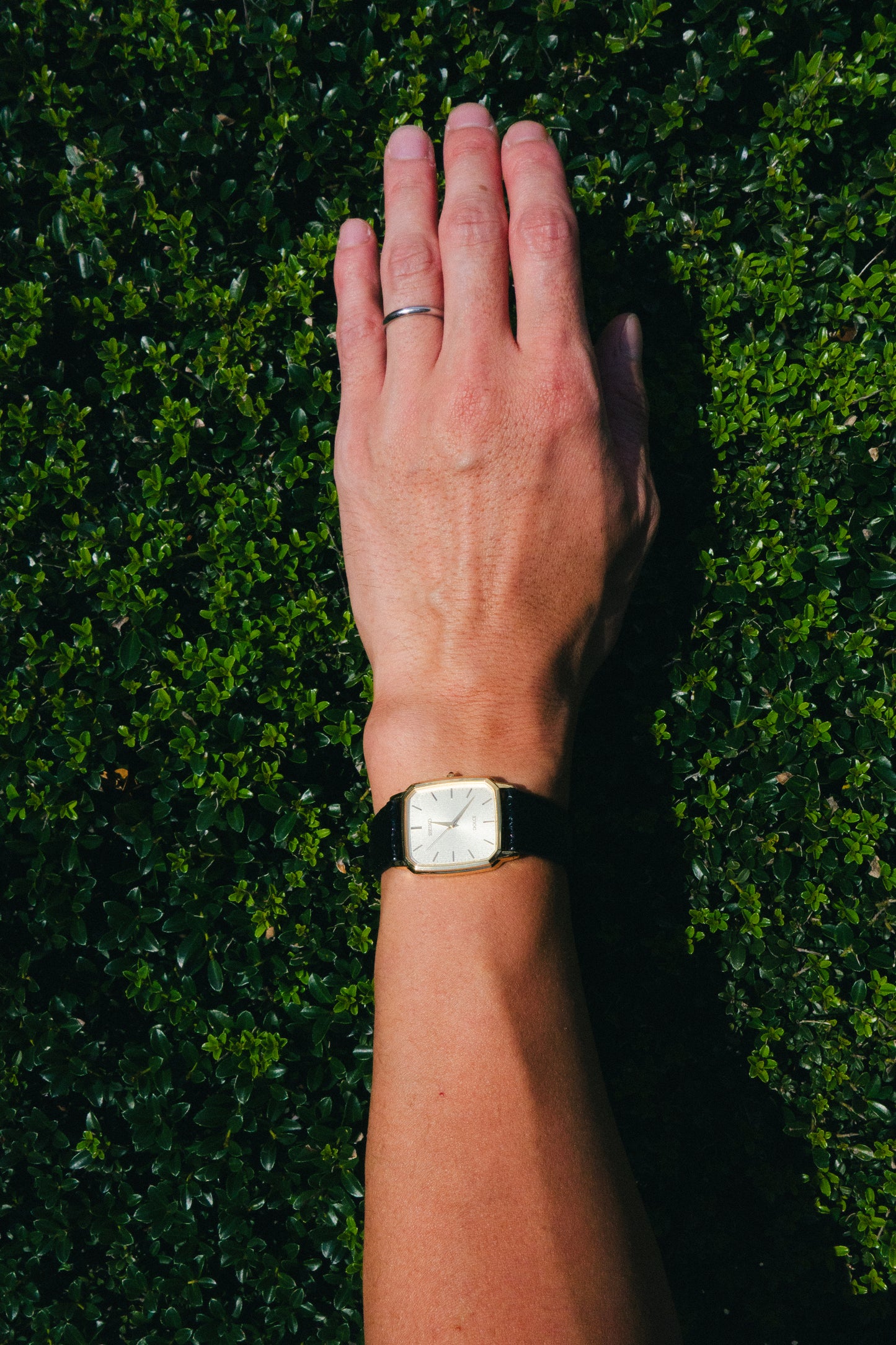 SEIKO｜DOLCE 8J41-5000
