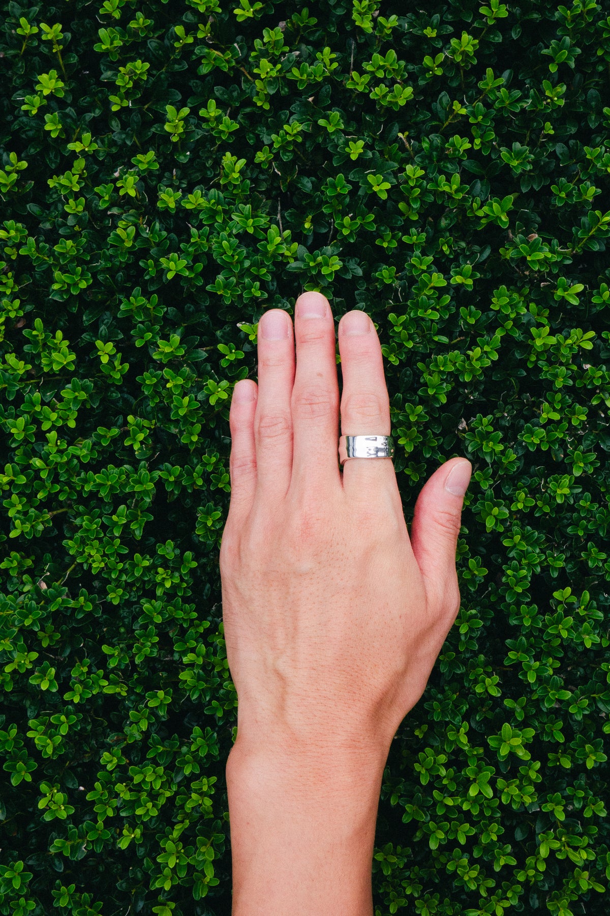 TIFFANY & Co.｜Leaf Ring