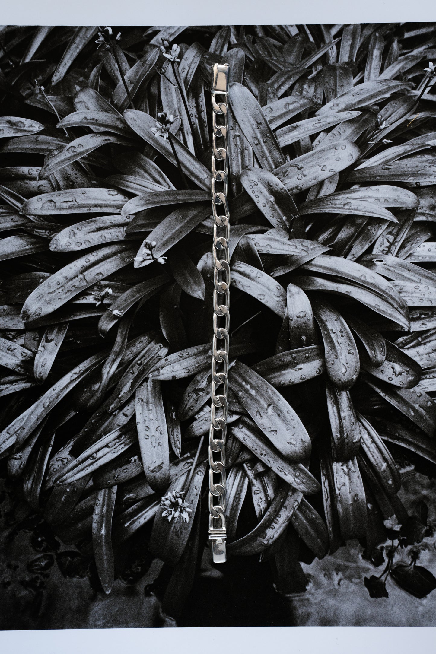 Oval Link Chain Bracelet (Mexico)