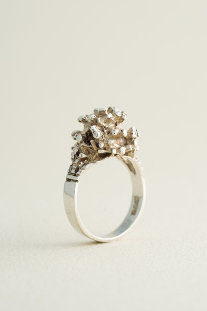 Organic Cluster Ring (Ireland)