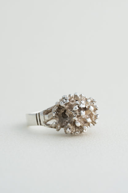 Organic Cluster Ring (Ireland)
