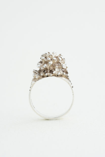 Organic Cluster Ring (Ireland)