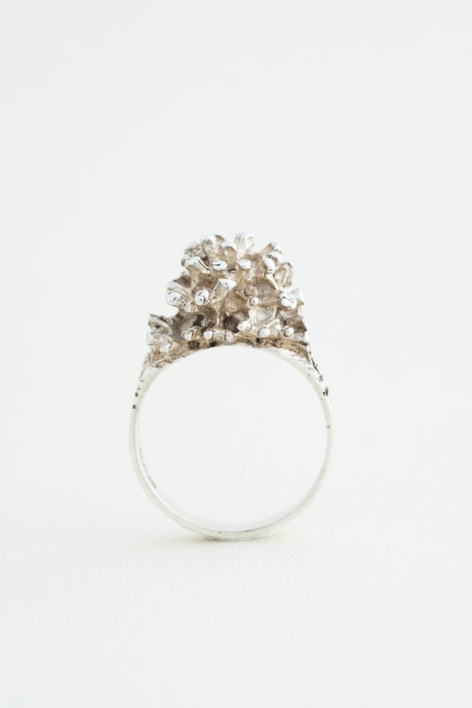 Organic Cluster Ring (Ireland)