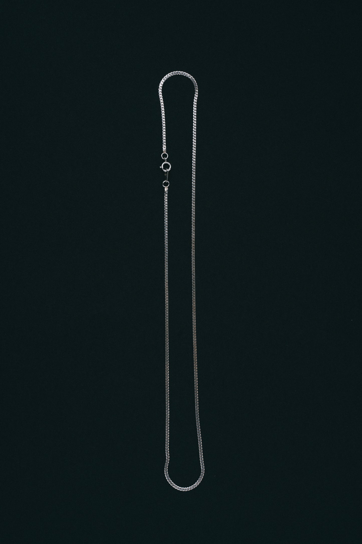 Fine Curb Chain Necklace