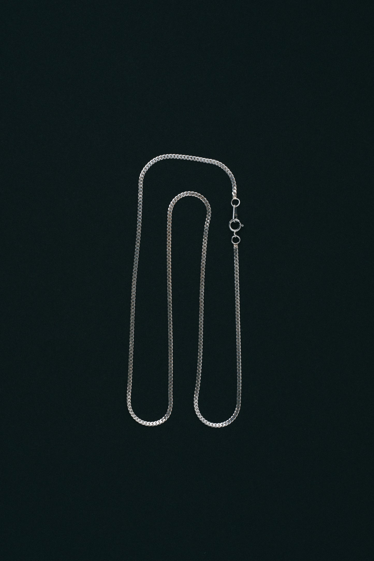 Fine Curb Chain Necklace