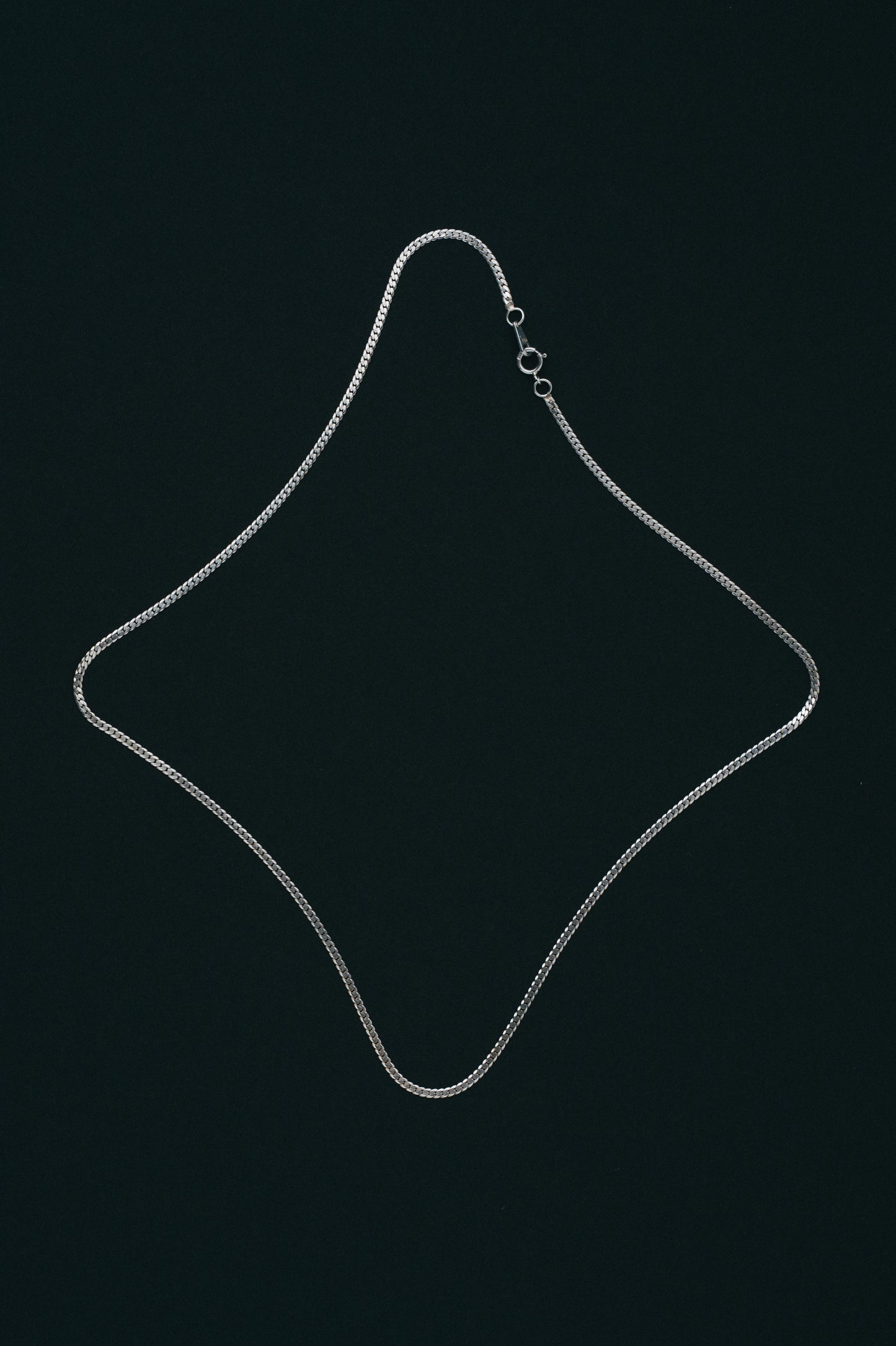Fine Curb Chain Necklace